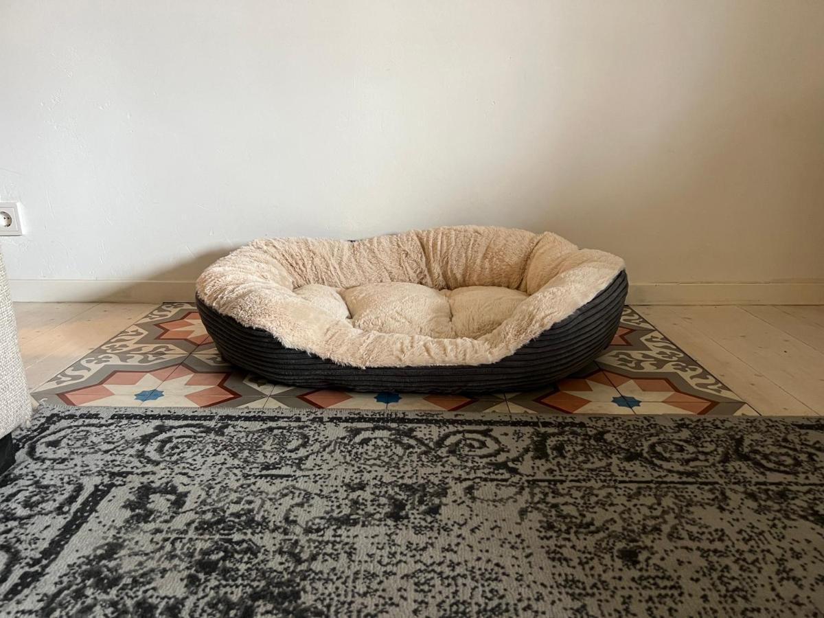 B&B Appartement Rebel And Moon In Het Centrum Van Alblasserdam 외부 사진